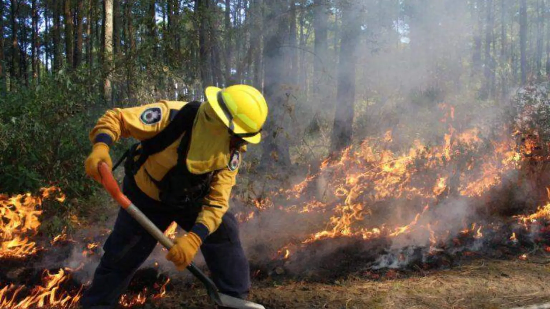 incendio forestal conafor